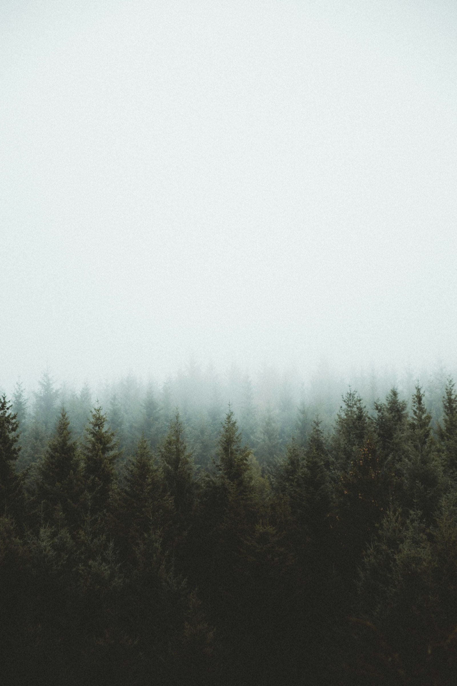Cinematic landscape background editorial